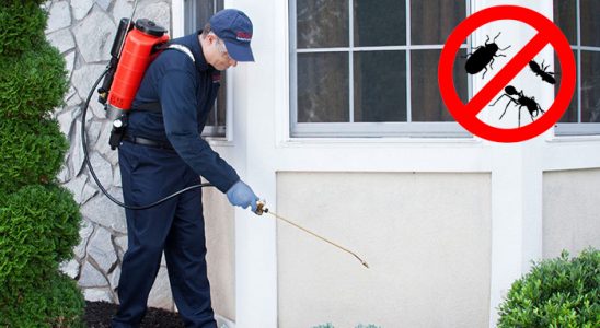 Boyabat Bit İlaçlama böcek ilaçlama ve haşere kontrolü — ilaclama-tr.com